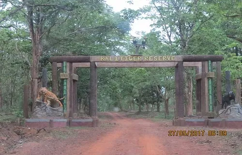 Kali Tiger Reserve Dandeli