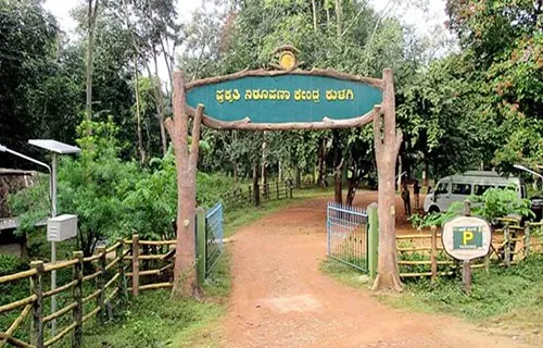 Anshi National Park Karnataka