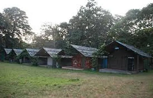 Kulgi Nature Camp in Dandeli Wildlife Sanctuary